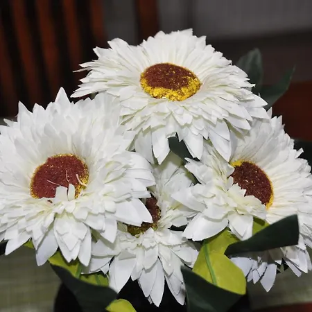 Dom wakacyjny Nakis Stavros (Thessaloniki)