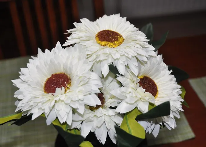 Vakantiehuis Nakis Stavros (Thessaloniki)